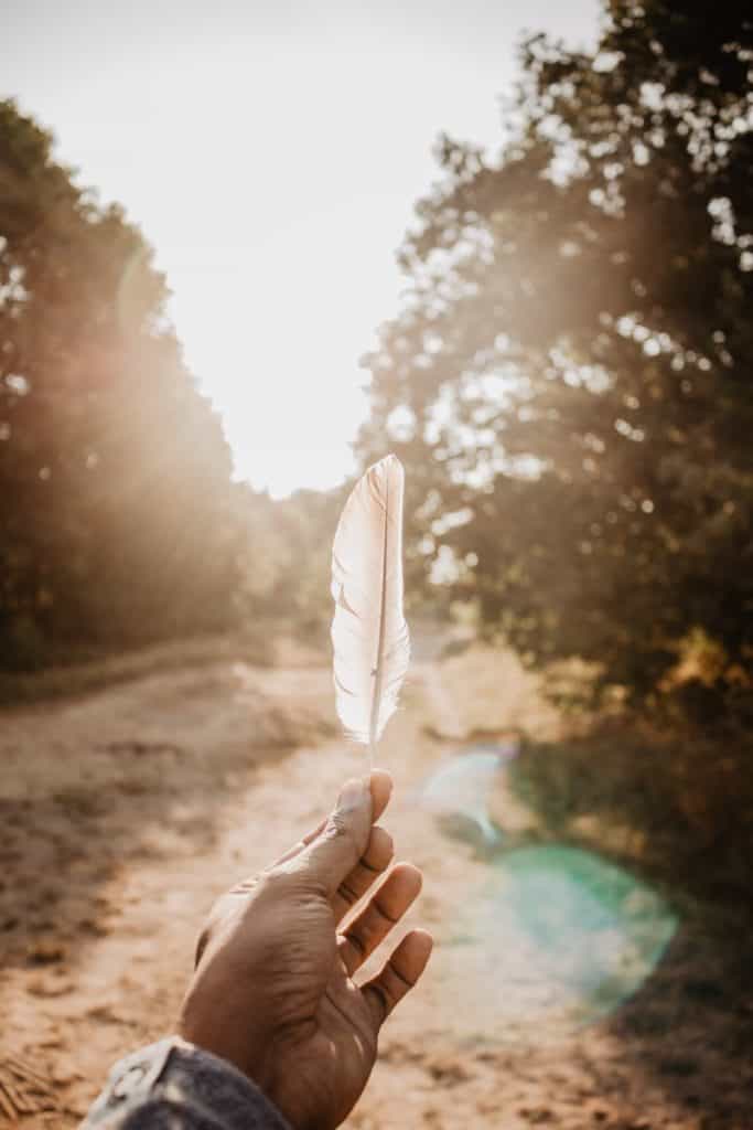 Peacock Feather Meaning Explained: What Do They Symbolize?